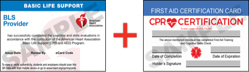 Sample American Heart Association AHA BLS CPR Card Certificaiton and First Aid Certification Card from CPR Certification Lanham