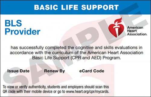 Sample American Heart Association AHA BLS CPR Card Certification from CPR Certification Lanham
